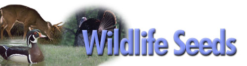 Wildlife Seeds